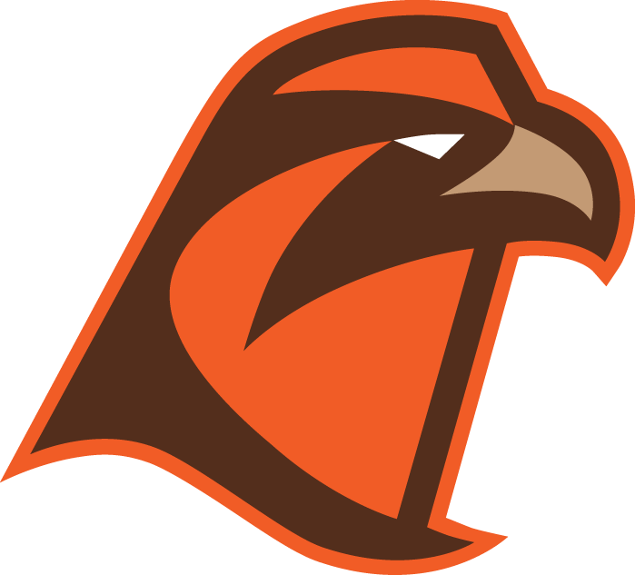 Bowling Green Falcons 2006-Pres Alternate Logo v7 diy DTF decal sticker